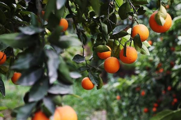 Rusya'dan Türkiye'yi bekliyoruz açıklaması