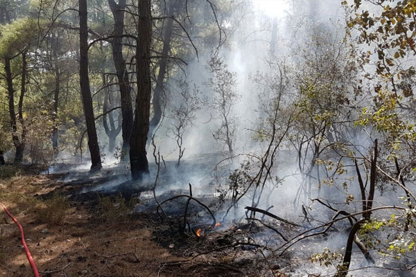 Manavgat’ta orman yangını