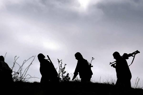 Şırnak’ta 2 PKK'lı öldürüldü