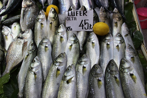 Lüfer fiyatları kırmızı etle yarışıyor