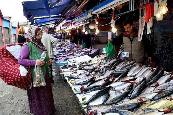 Palamut fiyatları yüzleri güldürdü
