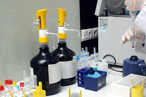 Türkiye kemik iliği naklinde Avrupa dördüncüsü