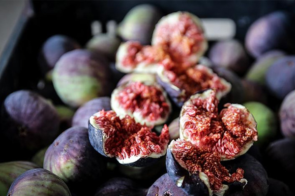 İncirin Bursa'dan 22 ülkeye yolculuğu