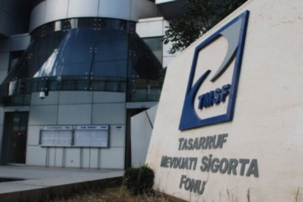 TMSF iki şirketi satışa çıkardı