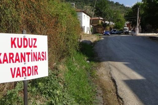 Mersin'de kuduz paniği