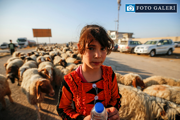 Musul'dan kaçışlar devam ediyor