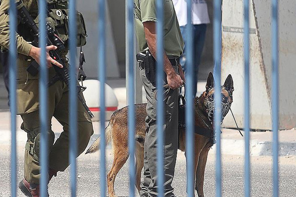 İsrail'den Filistinli çocuğa 12 yıl hapis cezası