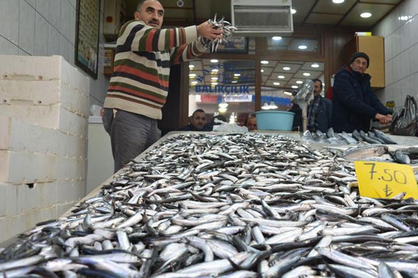 Karadeniz'de hamsi bereketi