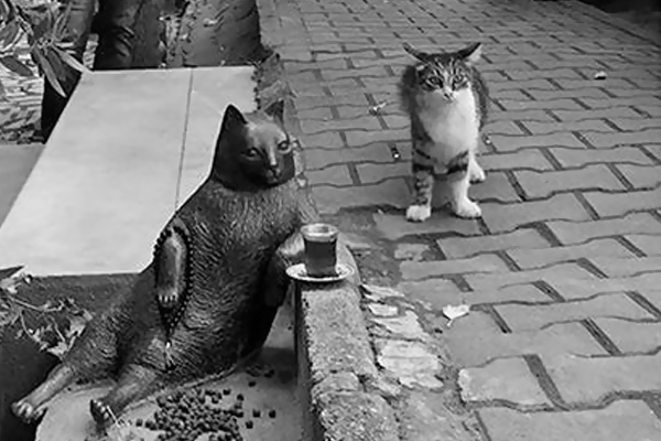 Kadıköy'deki kedi Tombili'nin heykeli çalındı