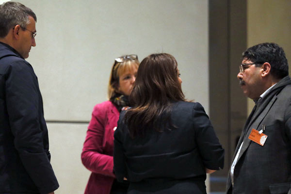 Almanya'dan Türkiye'ye, Salih Müslim çalımı