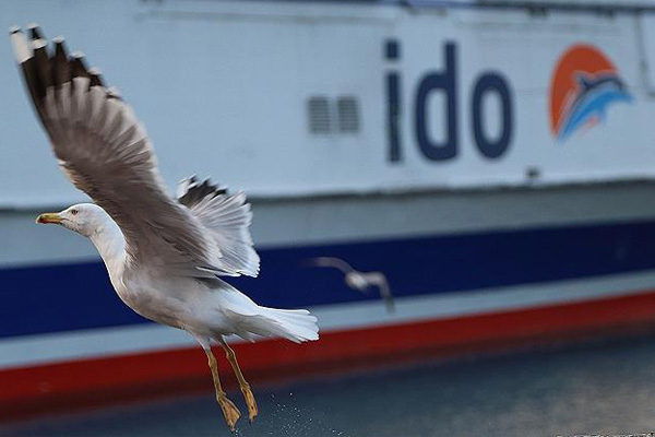 İDO'dan sefer iptalleri