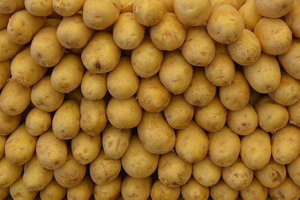 Patates fiyatı yükseliyor