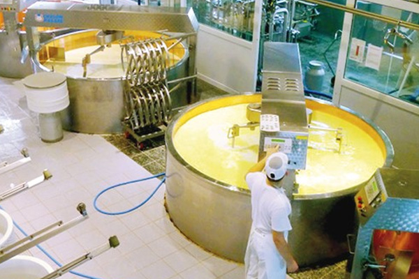 Süt ürünlerinde yeni dönem