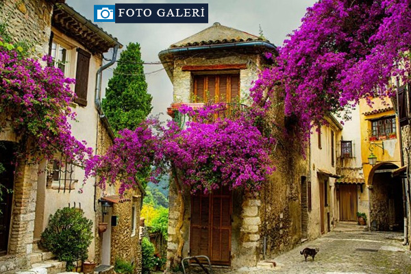 Avrupa'nın gözbebeği: Provence