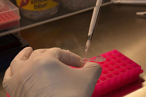 Türkiye kendi aşısını üretecek