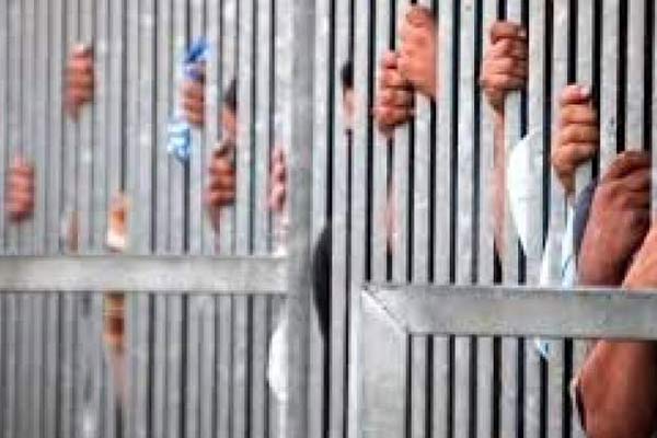 Mısır'da 82 tahliye