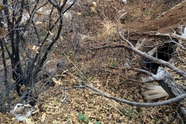 Bingöl'de PKK'ya darbe