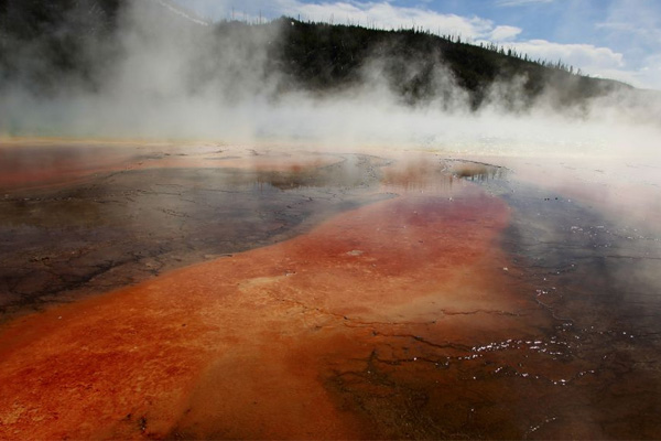 Amerika'da bir adam asit kaynağına düştü