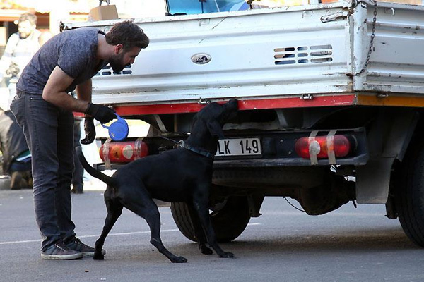 Diyarbakır'da şüpheli araç alarmı