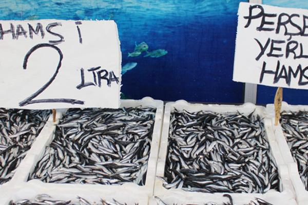 Hamsi 2 TL’ye düştü