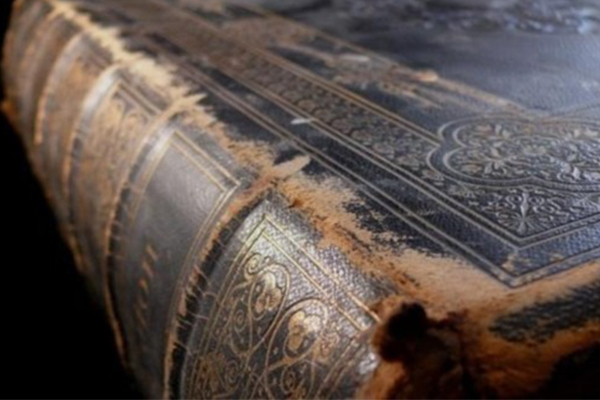 Tıp öğrencisi hangi Tefsir kitabını okumalıdır?