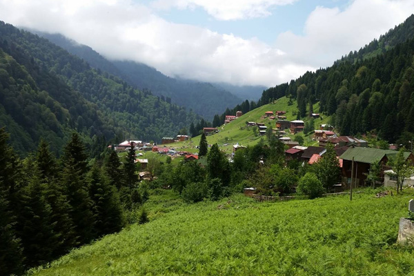 Ayder Yaylası'nda 'Kentsel Dönüşüm' uygulanacak