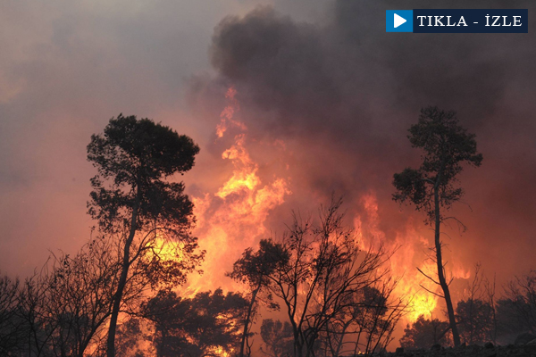 İsrail'de dev yangın