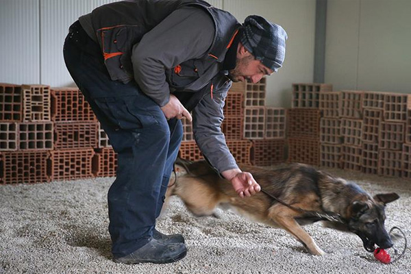 Dünyayı mayınlardan temizliyorlar