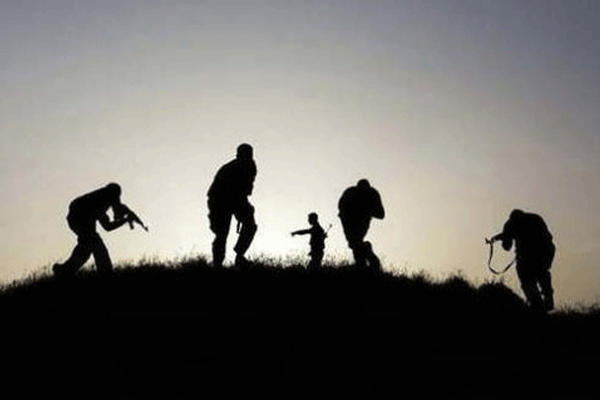 Lice'de 4 PKK'lı etkisiz hale getirildi