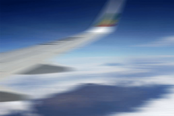 Hava sahasını ihlal eden uçakları indirdi