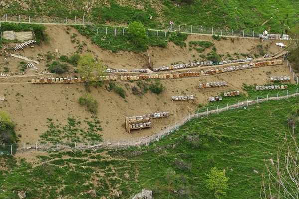 Kilosu 900 lira olan bal yok satıyor