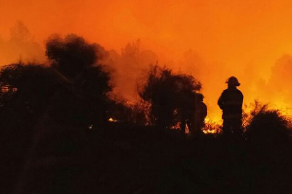 Filistinli gruplardan İsrail'e yangın tepkisi