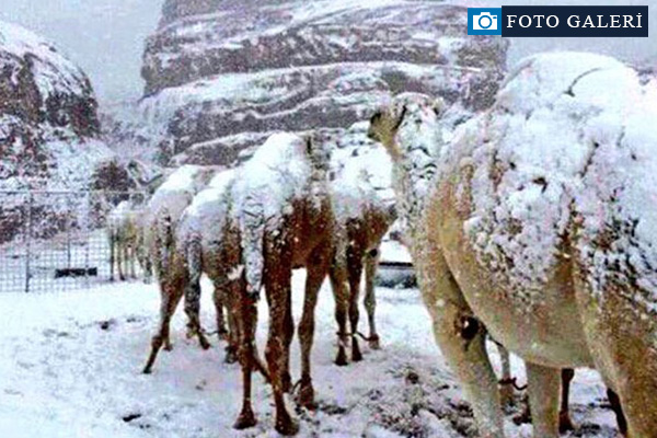 Suudi Arabistan'da çöle kar yağdı
