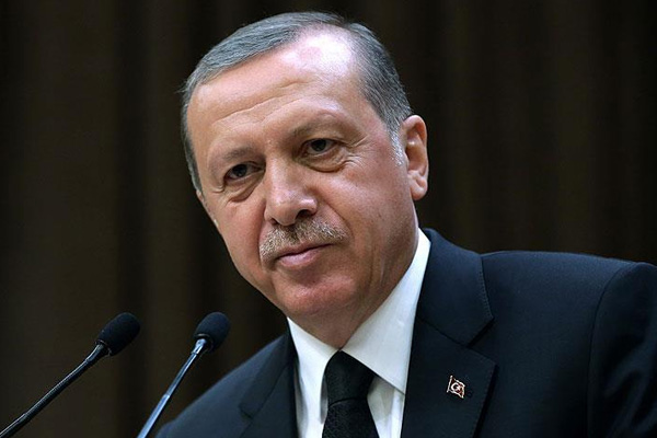 Erdoğan'dan Vali'ye yangın telefonu