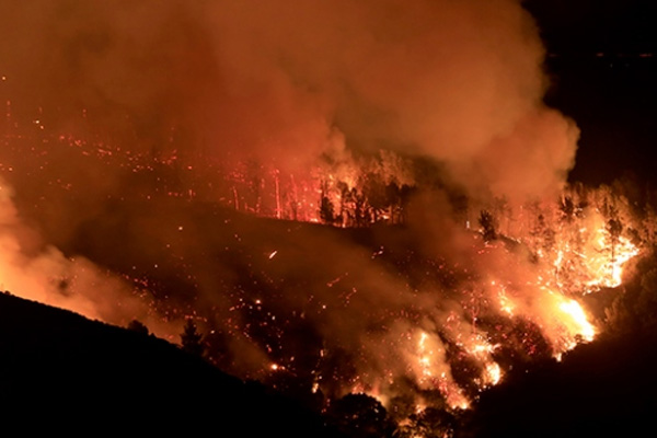 ABD'de orman yangını: 3 ölü