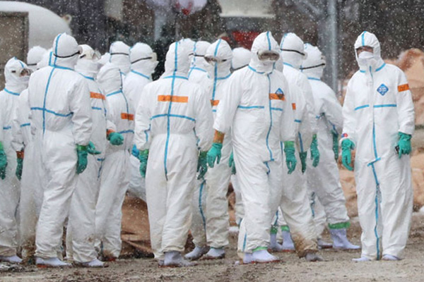 Kuş gribi salgını Türkiye'ye yaklaşıyor