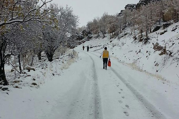Hastaya ulaşabilmek için karda 2 kilometre yürüdüler