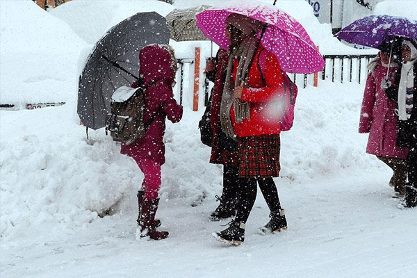 Bingöl'de taşımalı eğitime bir gün ara