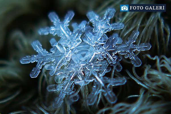 Kar taneleri görenleri hayran bıraktı