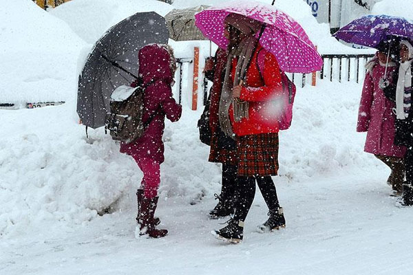 Ordu ve Gümüşhane'de eğitime bir gün ara