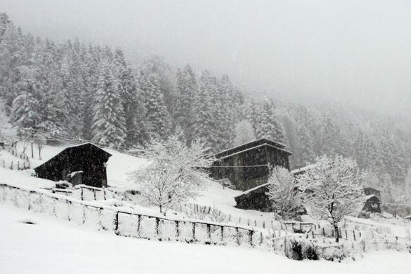 Ayder Yaylası'nda kar yağışı