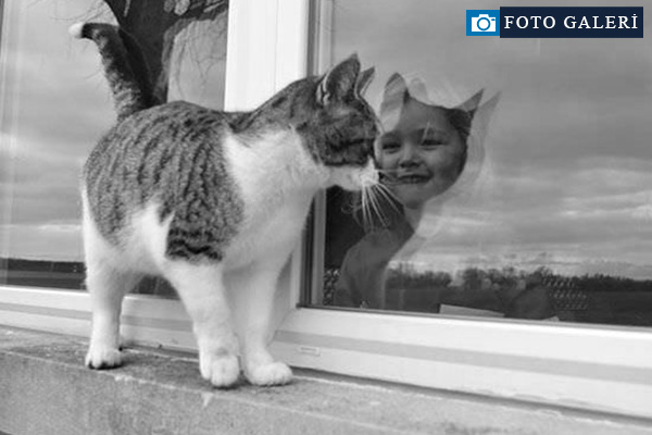 Muhteşem yansımalar