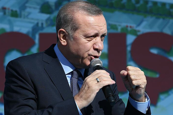 Erdoğan: Yastık altındakileri TL'ye çevirin
