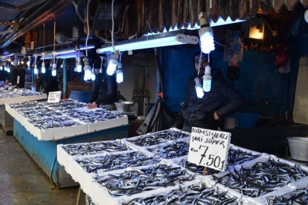 Hamsi fiyatları yüz güldürdü