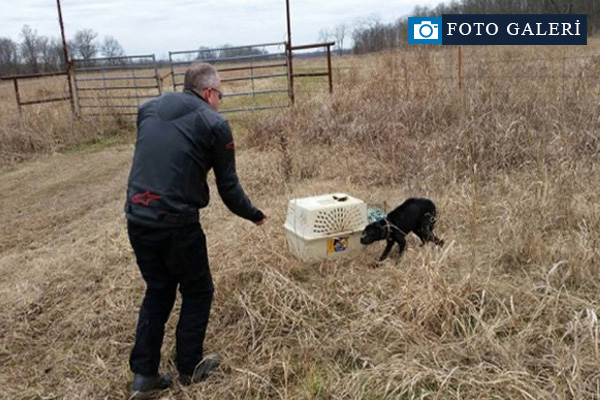 Kutuyu açtıklarında üzücü gerçek ortaya çıktı!