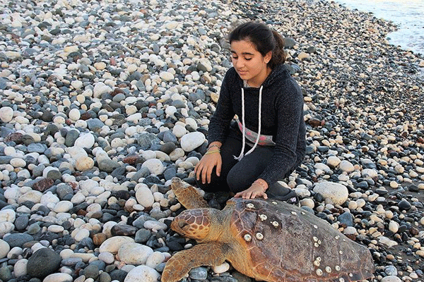 Mersin'de ölü caretta caretta sahile vurdu