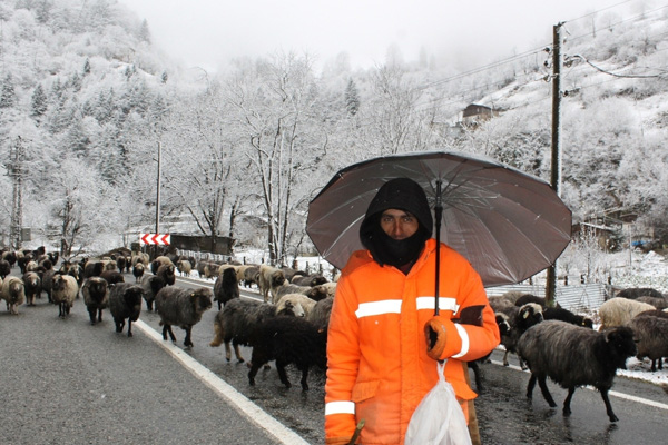 Rize’de 194 köy yolu ulaşıma kapandı
