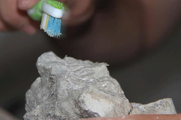 255 milyon yıllık fosil kanserli çıktı