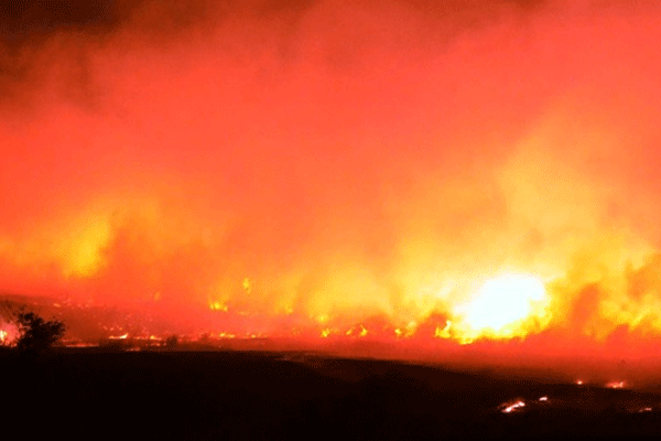 Gaziantep'te yangın