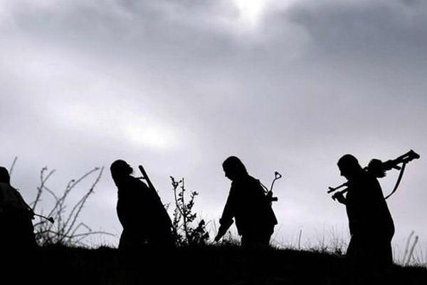 Muş'ta iki PKK'lı öldürüldü